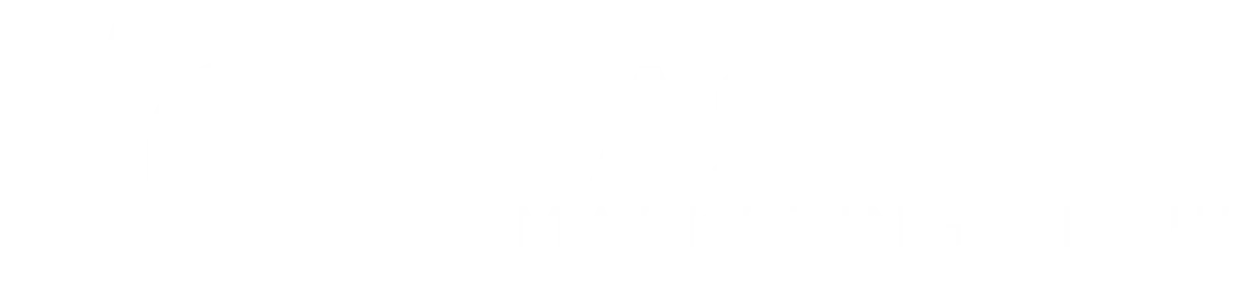 fastline